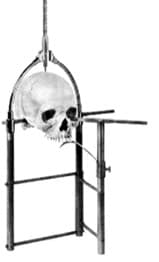 MOLLISON CRANIOPHOR