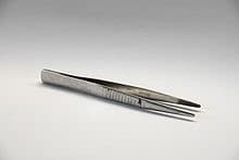 S.S. FORCEP 6 INCH