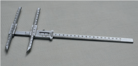 SLIDING CALIPER ( POECHTYPE )